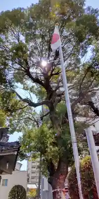 若宮八幡大神宮(大阪府)