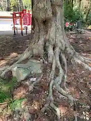 瀧神社(茨城県)