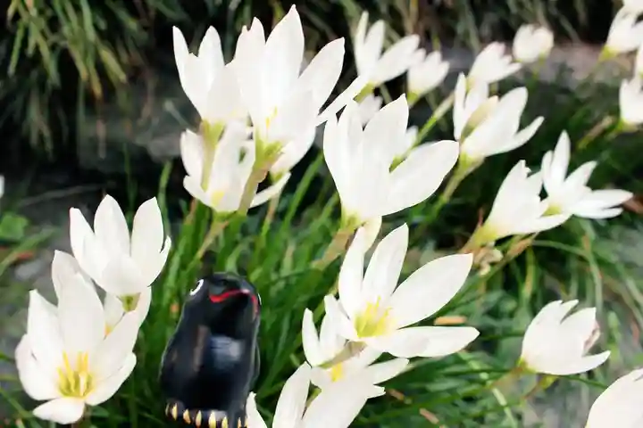 くまくま神社(導きの社 熊野町熊野神社)の自然