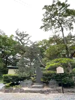 浜松八幡宮の{uncategorized: "未分類", other: "その他", undefined: "問題あり", building: "その他建物", grave: "お墓", sacred_gate: "鳥居", guardian: "狛犬", statue: "像", buddha: "仏像", history: "歴史", nature: "自然", garden: "庭園", animal: "動物", pagoda: "塔", temizu: "手水舎", mountain_gate: "山門・神門", sanctuary: "本殿・本堂", subordinate: "末社・摂社", art: "芸術", scenery: "景色", jizo: "地蔵", ema: "絵馬", goshuin: "御朱印", omikuji: "おみくじ", items: "授与品その他", amulet: "お守り", goshuincho: "御朱印帳", eats: "食事", festival: "お祭り", votive_dance: "神楽", shichigosan: "七五三参", wedding: "結婚式", experience: "体験その他", initially: "初詣", around: "周辺", anti_infection: "感染症対策"}