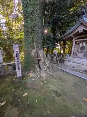 生目神社(宮崎県)