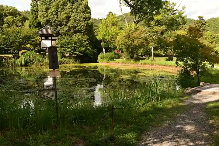 大覚寺(京都府)
