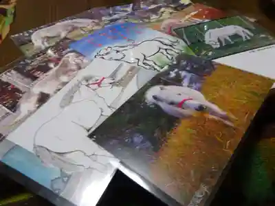 平塚八幡宮の授与品その他