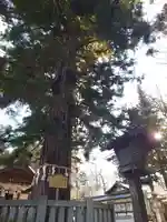 諏訪大社下社秋宮(長野県)