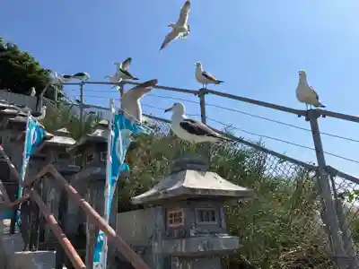 蕪嶋神社(青森県)