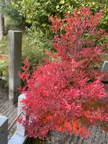 伊賀東照宮の自然