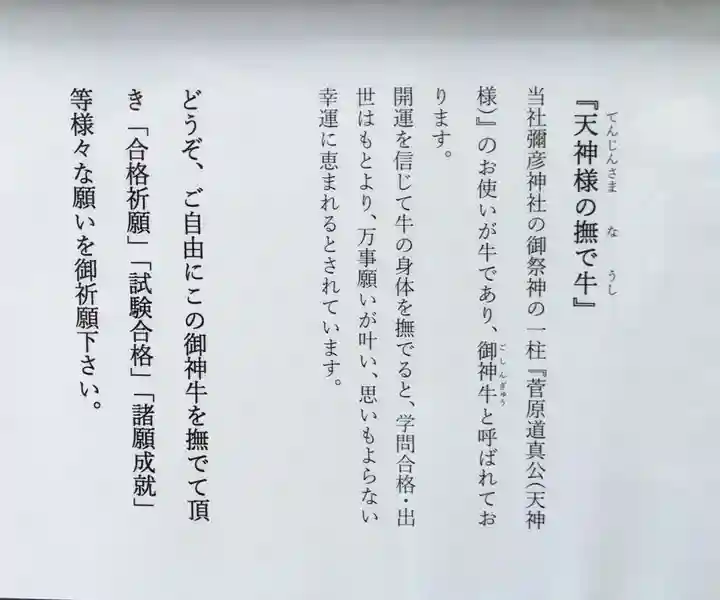 彌彦神社 (伊夜日子神社)の体験その他