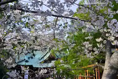 三嶋大社(静岡県)