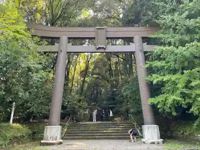 槵觸神社(宮崎県)