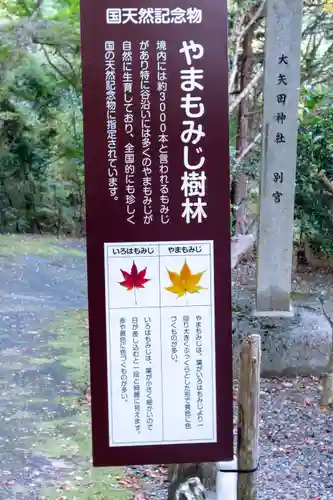 大矢田神社(岐阜県)