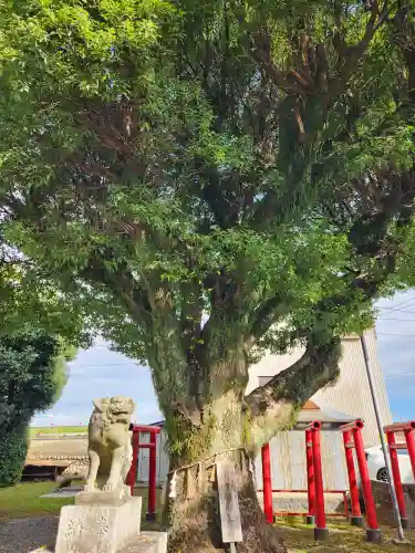 赤須賀神明社(三重県)