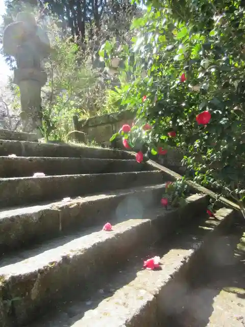 安國論寺(安国論寺)の景色