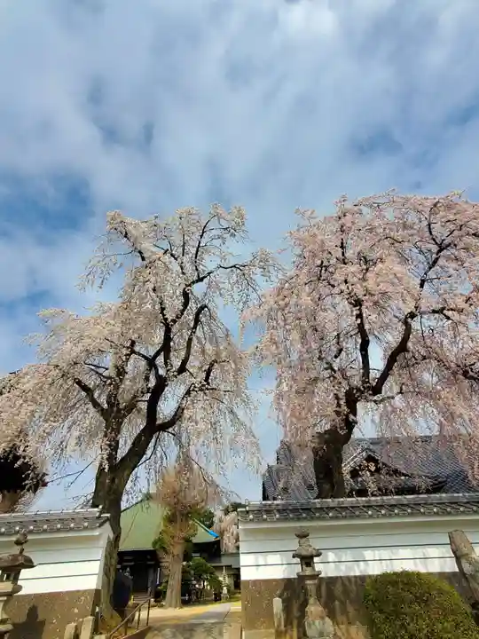長松院(福島県)