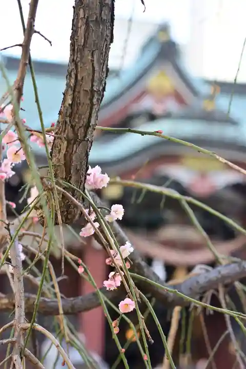 柏神社の自然