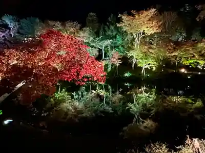 高台寺（高台寿聖禅寺・高臺寺）(京都府)