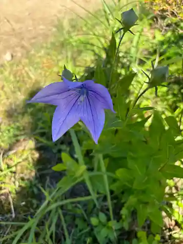 観世音寺(島根県)