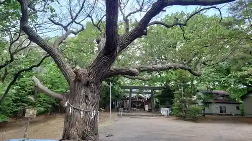 相馬神社(北海道)