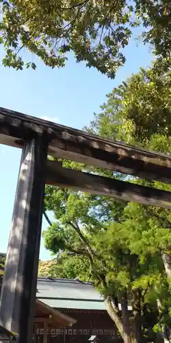 猿田彦神社の鳥居