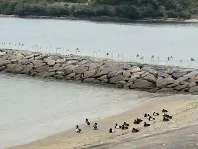 八剱神社・神明社合殿(愛知県)