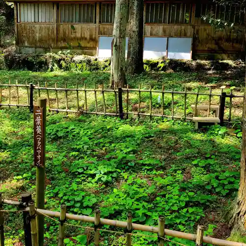 八幡神社松平東照宮(愛知県)