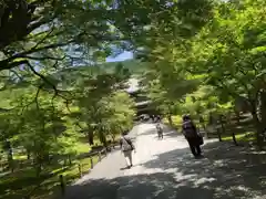 南禅寺の建物その他