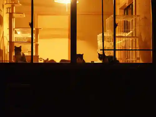 天王山 安楽寺(福井県)