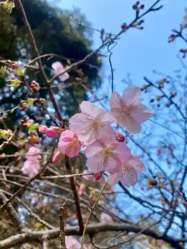 矢奈比賣神社（見付天神）(静岡県)