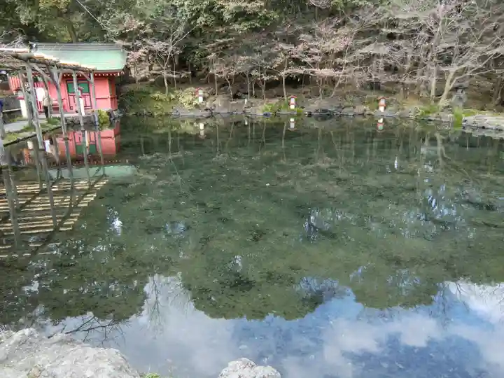富士山本宮浅間大社(静岡県)