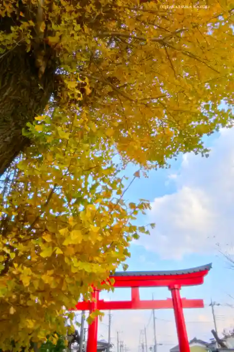 鷲宮神社(埼玉県)