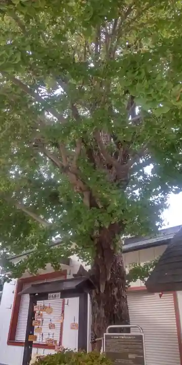 葛飾氷川神社(東京都)