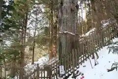 玉置神社の自然