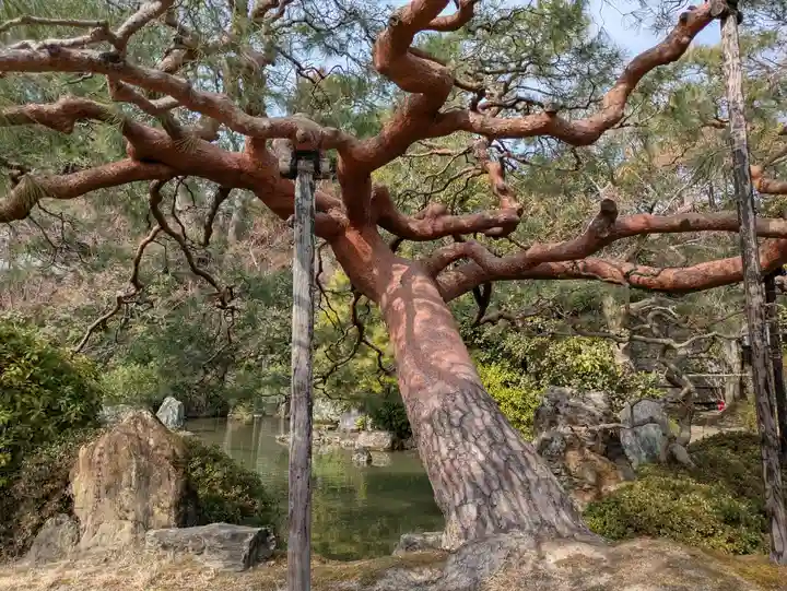 城南宮(京都府)