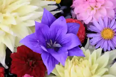 大鏑神社の手水舎