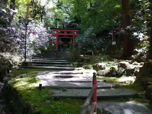 岡寺（龍蓋寺）(奈良県)