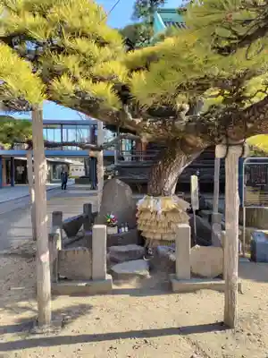 題経寺（柴又帝釈天）(東京都)