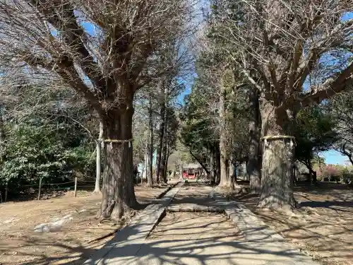 三芳野神社の{uncategorized: "未分類", other: "その他", undefined: "問題あり", building: "その他建物", grave: "お墓", sacred_gate: "鳥居", guardian: "狛犬", statue: "像", buddha: "仏像", history: "歴史", nature: "自然", garden: "庭園", animal: "動物", pagoda: "塔", temizu: "手水舎", mountain_gate: "山門・神門", sanctuary: "本殿・本堂", subordinate: "末社・摂社", art: "芸術", scenery: "景色", jizo: "地蔵", ema: "絵馬", goshuin: "御朱印", omikuji: "おみくじ", items: "授与品その他", amulet: "お守り", goshuincho: "御朱印帳", eats: "食事", festival: "お祭り", votive_dance: "神楽", shichigosan: "七五三参", wedding: "結婚式", experience: "体験その他", initially: "初詣", around: "周辺", anti_infection: "感染症対策"}