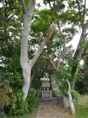 神社(名称不明)の建物その他