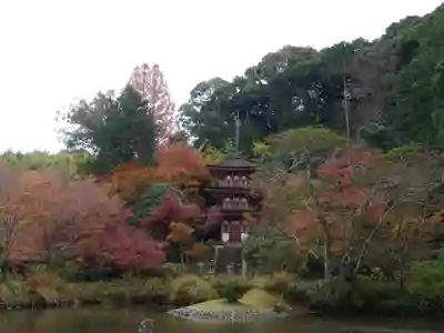 浄瑠璃寺のその他建物