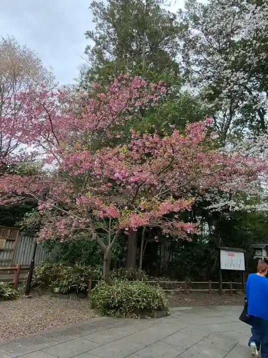 櫻木神社の{uncategorized: "未分類", other: "その他", undefined: "問題あり", building: "その他建物", grave: "お墓", sacred_gate: "鳥居", guardian: "狛犬", statue: "像", buddha: "仏像", history: "歴史", nature: "自然", garden: "庭園", animal: "動物", pagoda: "塔", temizu: "手水舎", mountain_gate: "山門・神門", sanctuary: "本殿・本堂", subordinate: "末社・摂社", art: "芸術", scenery: "景色", jizo: "地蔵", ema: "絵馬", goshuin: "御朱印", omikuji: "おみくじ", items: "授与品その他", amulet: "お守り", goshuincho: "御朱印帳", eats: "食事", festival: "お祭り", votive_dance: "神楽", shichigosan: "七五三参", wedding: "結婚式", experience: "体験その他", initially: "初詣", around: "周辺", anti_infection: "感染症対策"}