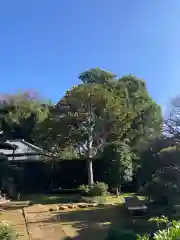 帰源院(神奈川県)