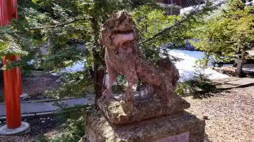 富良野神社の狛犬