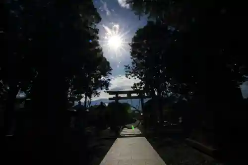 熊野福藏神社の鳥居