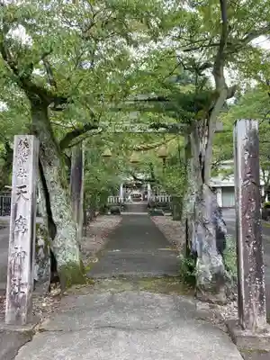 天鷹神社の鳥居