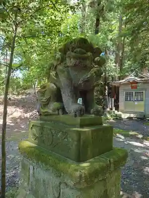 塙田八幡宮の狛犬