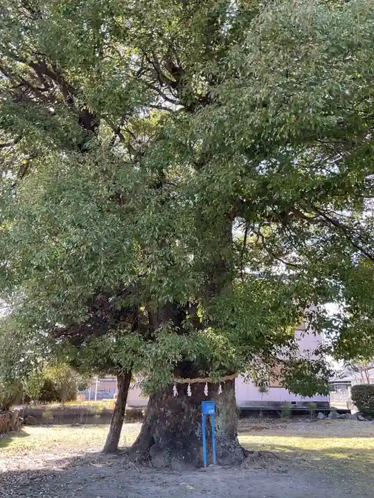 井出神社の庭園