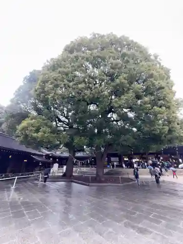 明治神宮(東京都)