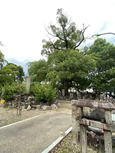 甚目寺の庭園