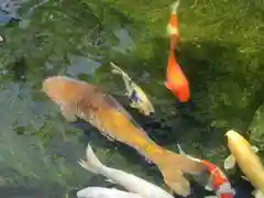 愛宕神社(東京都)