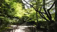 光明寺（粟生光明寺）の建物その他