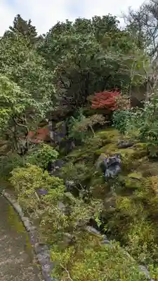 霊鑑寺門跡(京都府)